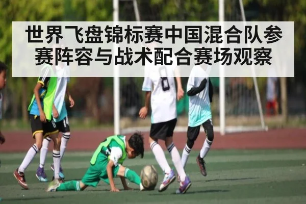 世界飞盘锦标赛中国混合队参赛阵容与战术配合赛场观察