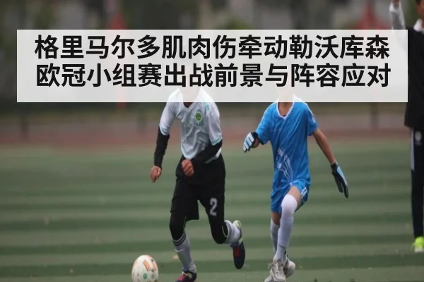 格里马尔多肌肉伤牵动勒沃库森 欧冠小组赛出战前景与阵容应对 - kaiyun